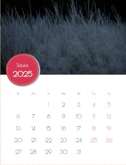 2023 Photo Calendar "Mushrooms of Dzūkija"
