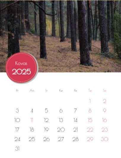 2023 Photo Calendar "Mushrooms of Dzūkija"