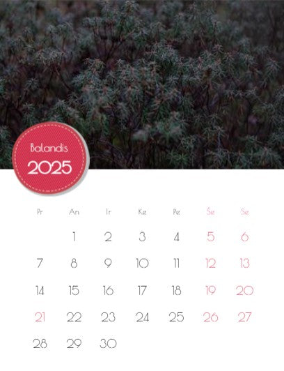 2023 Photo Calendar "Mushrooms of Dzūkija"