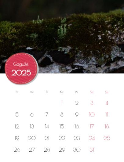 2023 Photo Calendar "Mushrooms of Dzūkija"