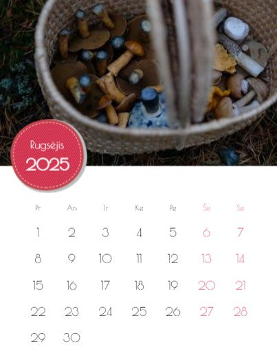 2023 Photo Calendar "Mushrooms of Dzūkija"