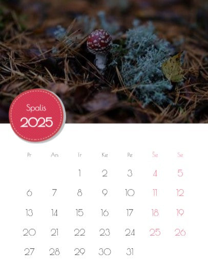 2023 Photo Calendar "Mushrooms of Dzūkija"