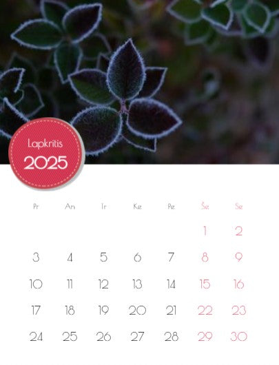 2023 Photo Calendar "Mushrooms of Dzūkija"