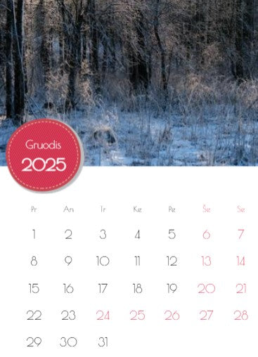 2023 Photo Calendar "Mushrooms of Dzūkija"