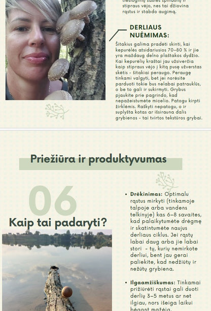 Skaitmeninis Gidas