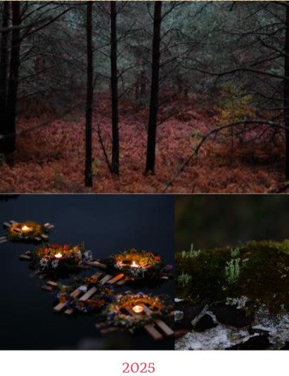 2023 Photo Calendar "Mushrooms of Dzūkija"
