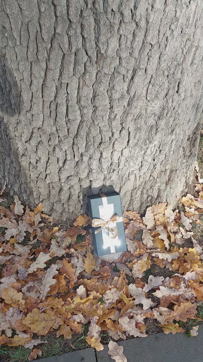 Gift - ground wild chaga